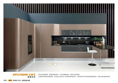 整体家居烤漆板系列05