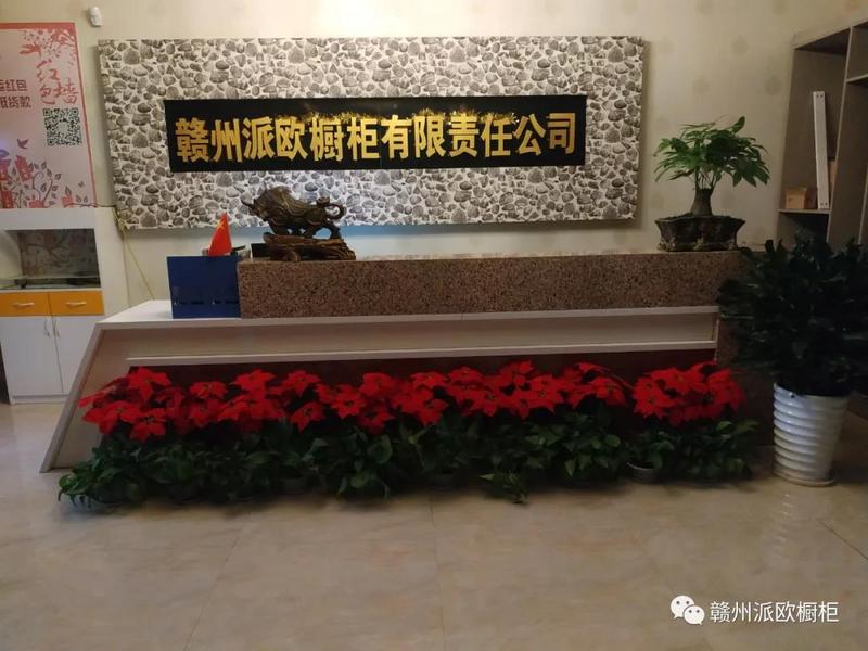 中央电视台CCTV摄制组来派欧橱柜拍摄专题片2.jpg