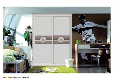 整体家居衣柜门系列14