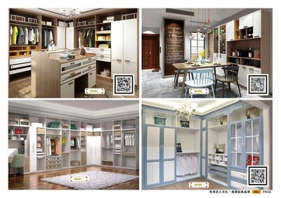 整体家居衣柜门系列08