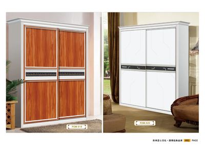 整体家居衣柜门系列17